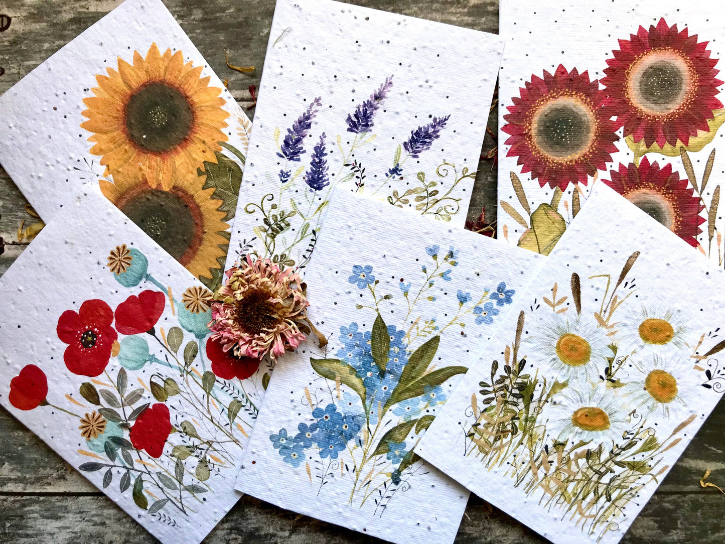 Plantable Seed Paper Birthday Card, Floral Note Cards