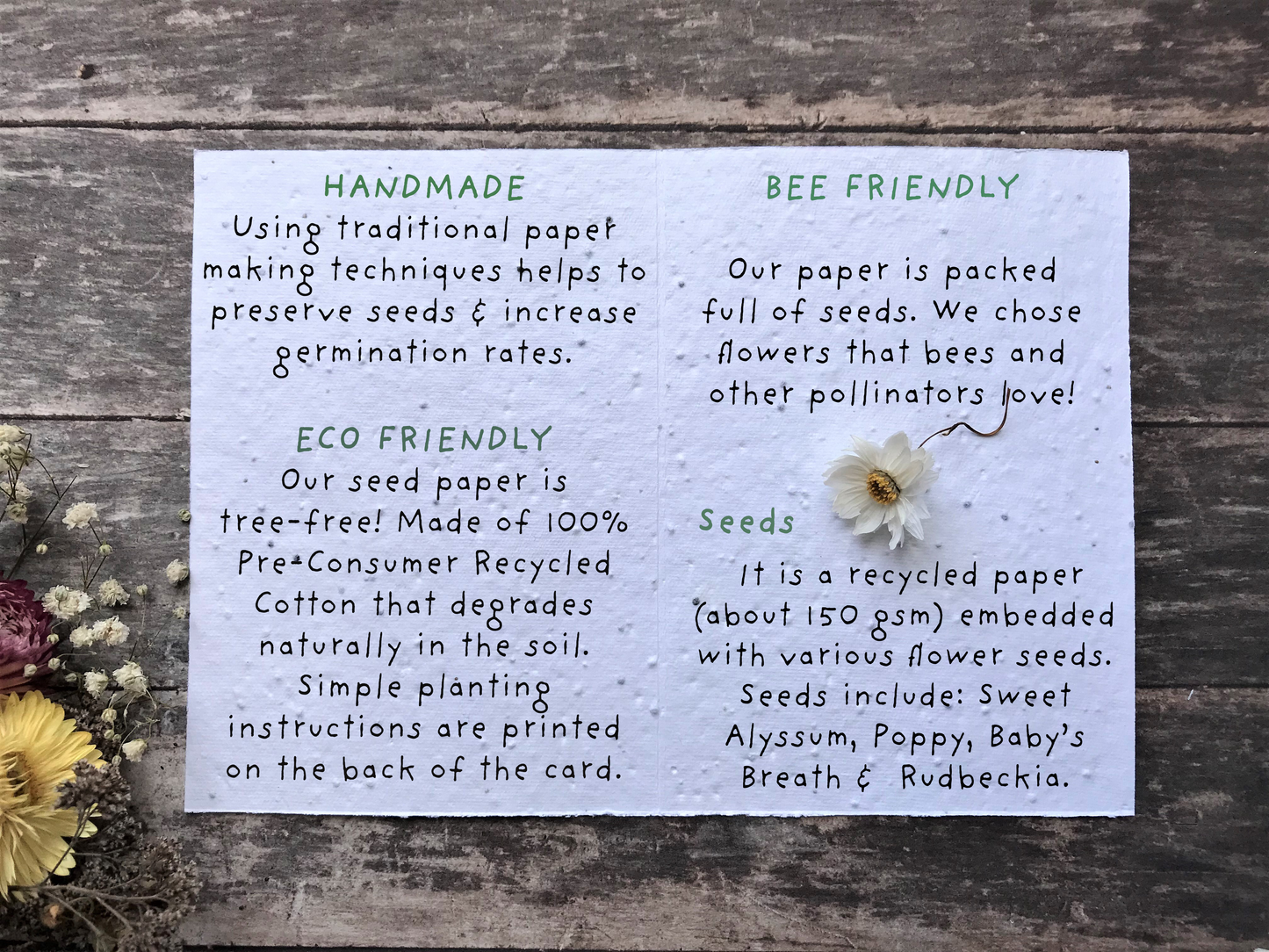 Plantable Seed Paper Birthday Card, Floral Note Cards