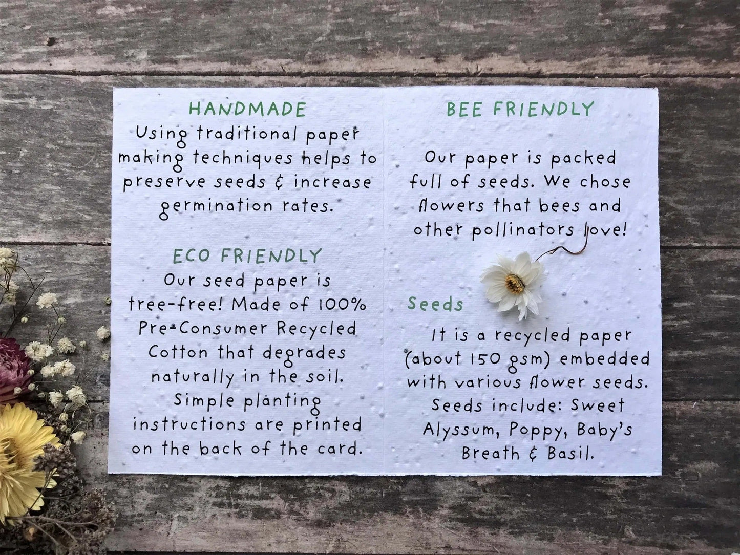 Plantable Seed Paper Birthday Card - Bumble Bee, Blank Inside