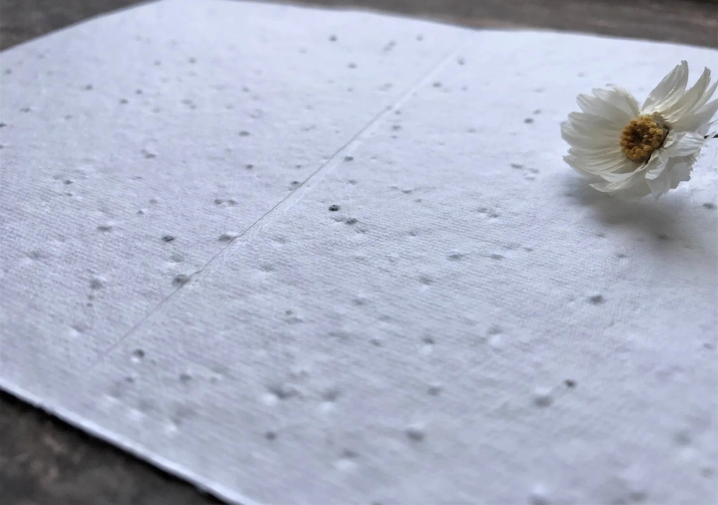 Plantable Seed Paper Birthday Card - Fox, Blank Inside