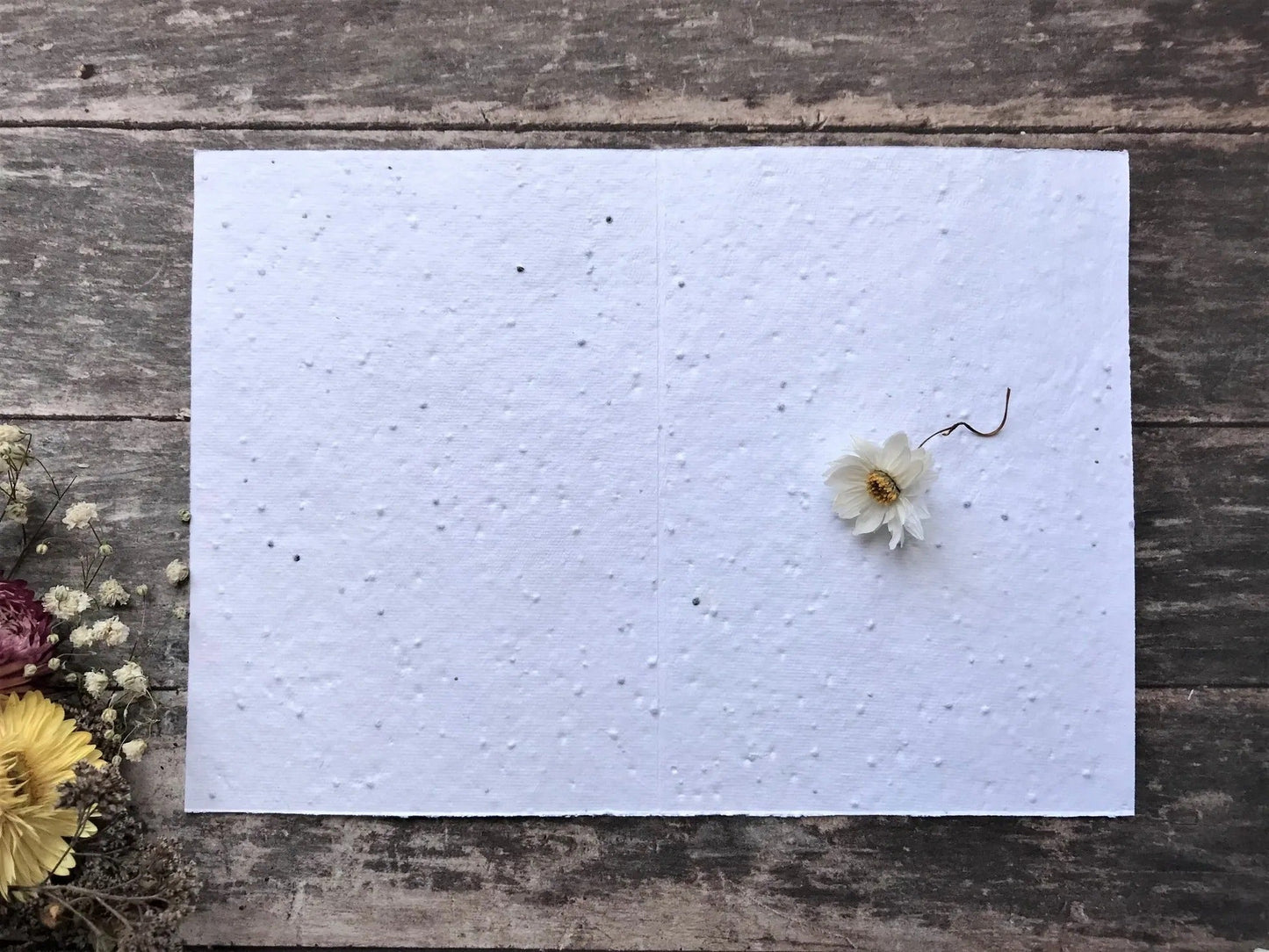 Plantable Seed Paper Birthday Card, Blank Inside
