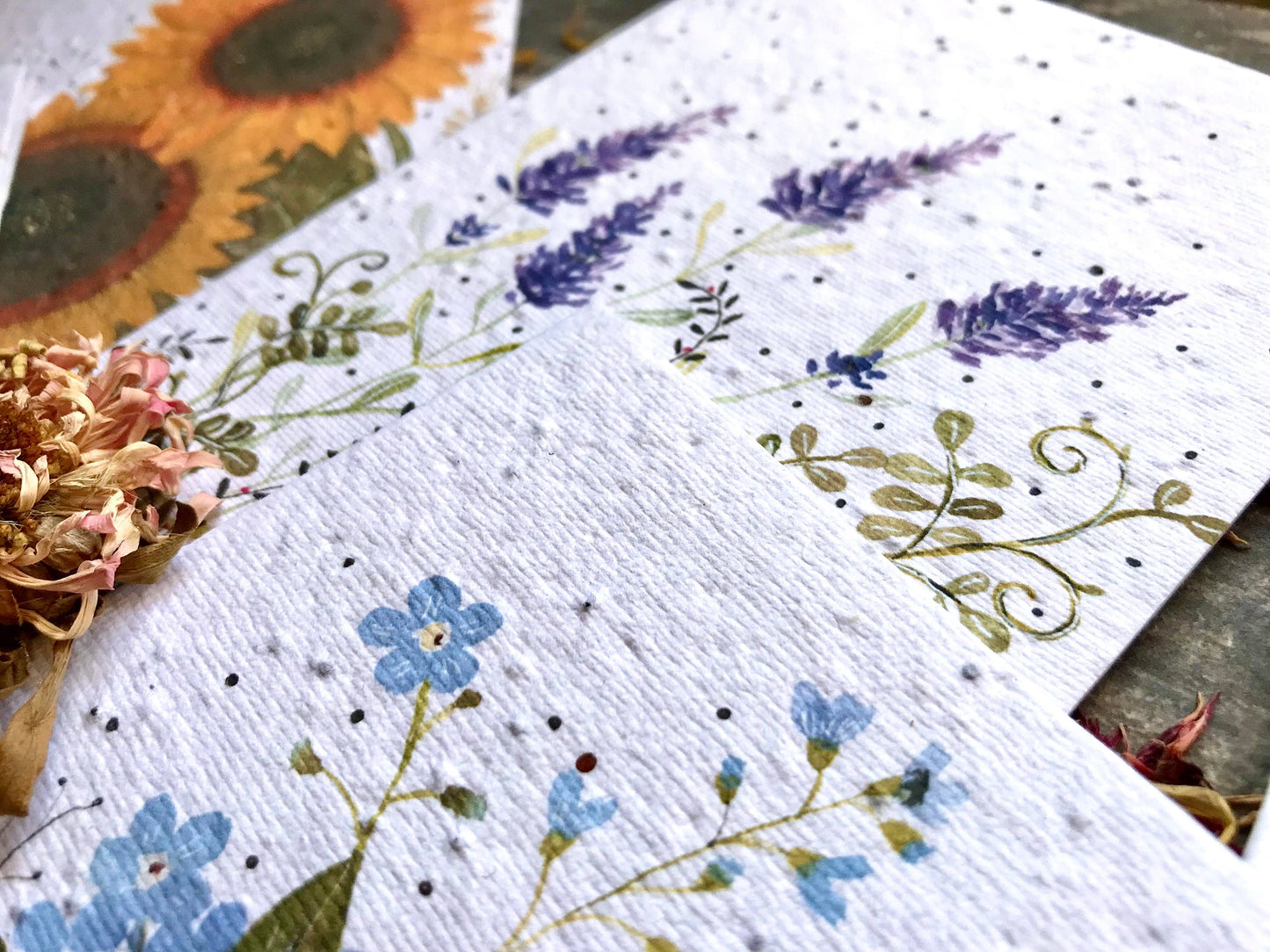 Plantable Seed Paper Birthday Card, Floral Note Cards
