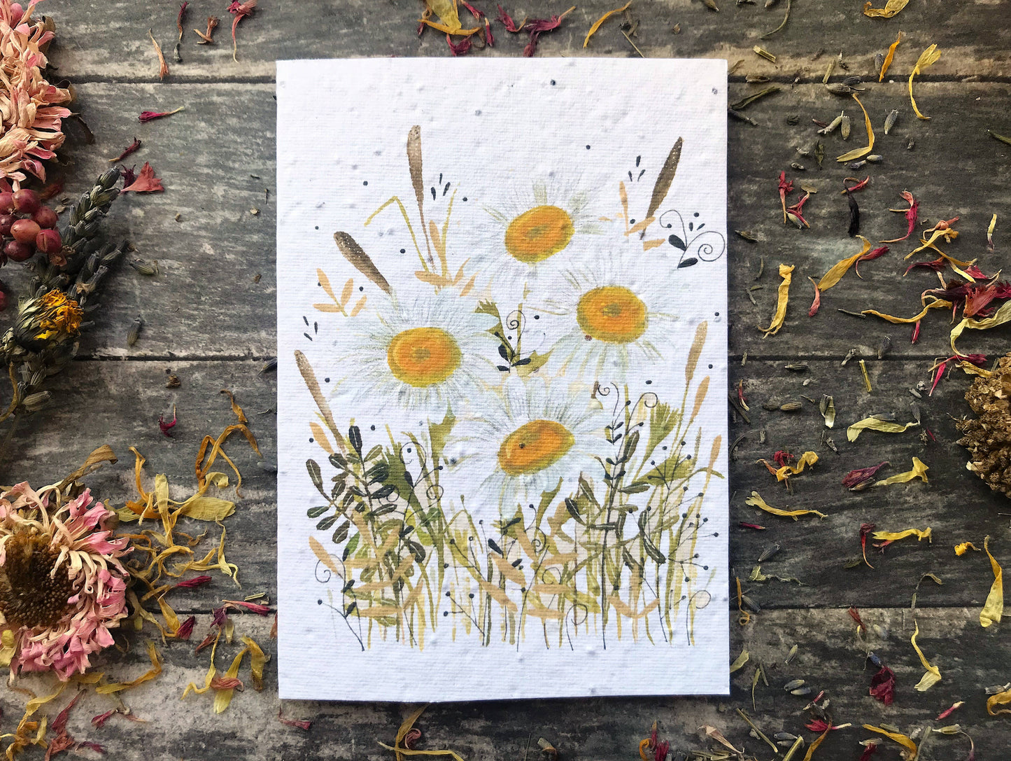 Plantable Seed Paper Birthday Card, Floral Note Cards