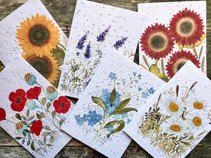 Plantable Seed Paper Birthday Card, Floral Note Cards