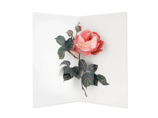 Rose 3D Pop Up Greeting Card