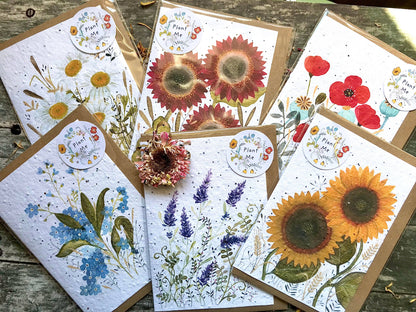 Plantable Seed Paper Birthday Card, Floral Note Cards