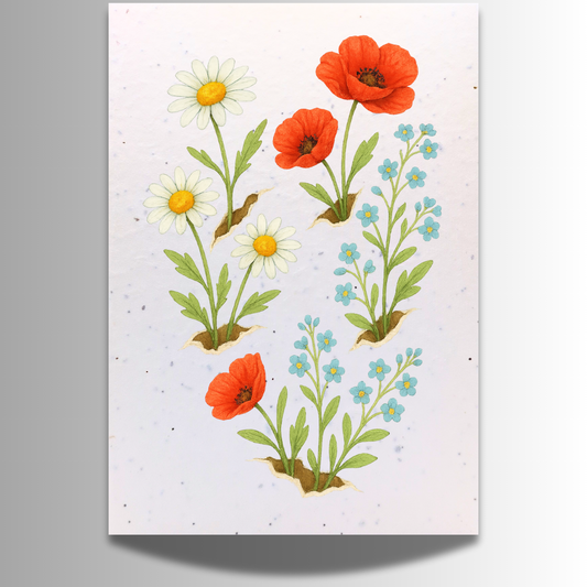 Large Plantable Seed Birthday Card - Daisies Poppies and Forget-Me-Nots [Blank inside]
