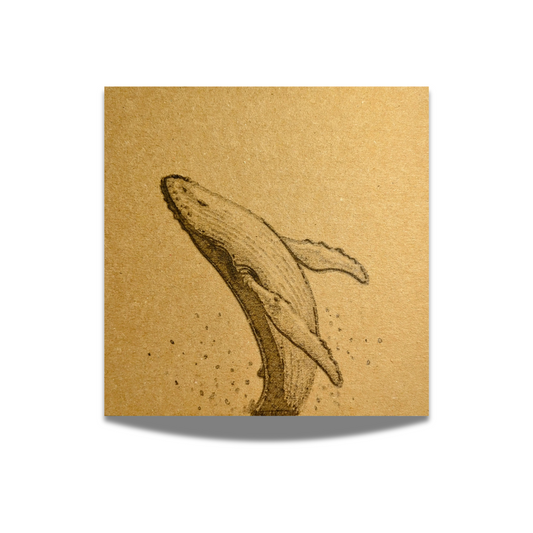 Pencil Drawn Humpback Whale Greeting Card