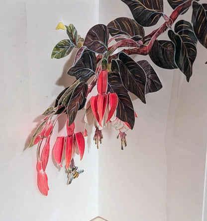 Fuchsia 3D Pop Up Greeting Card