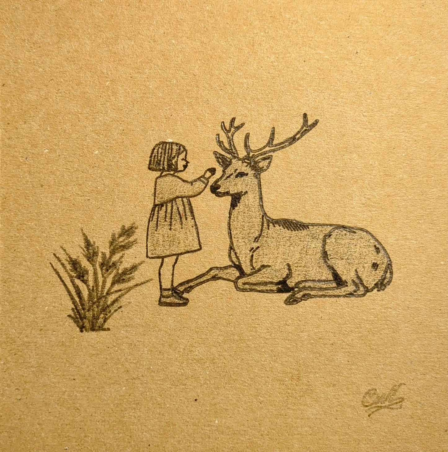 Pencil Drawn The Girl and The Deer