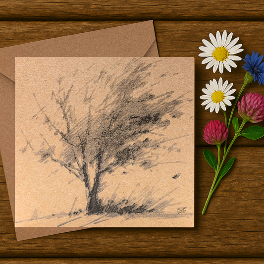 Pencil Illustrated - The Windswept Tree Card