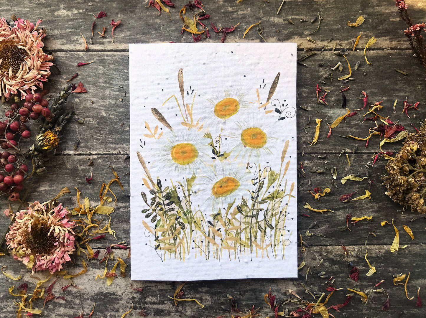 Plantable Seed Paper Birthday Card, Floral Note Cards